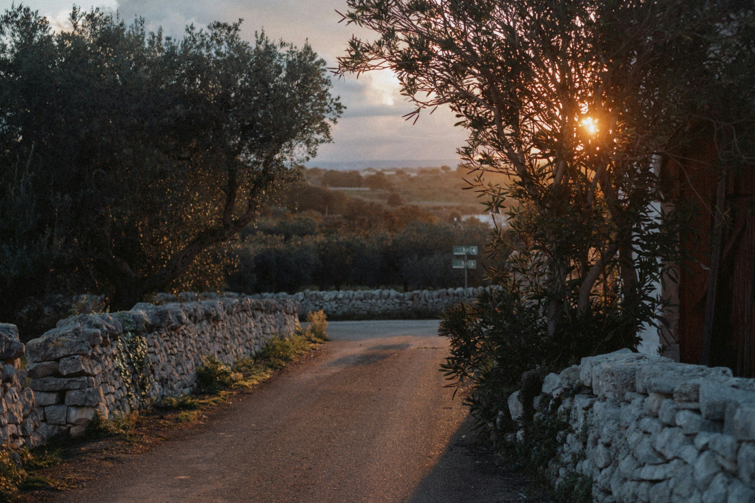 A road between dry-stone walls and olive trees in Cisternino, Valle d’Itria.