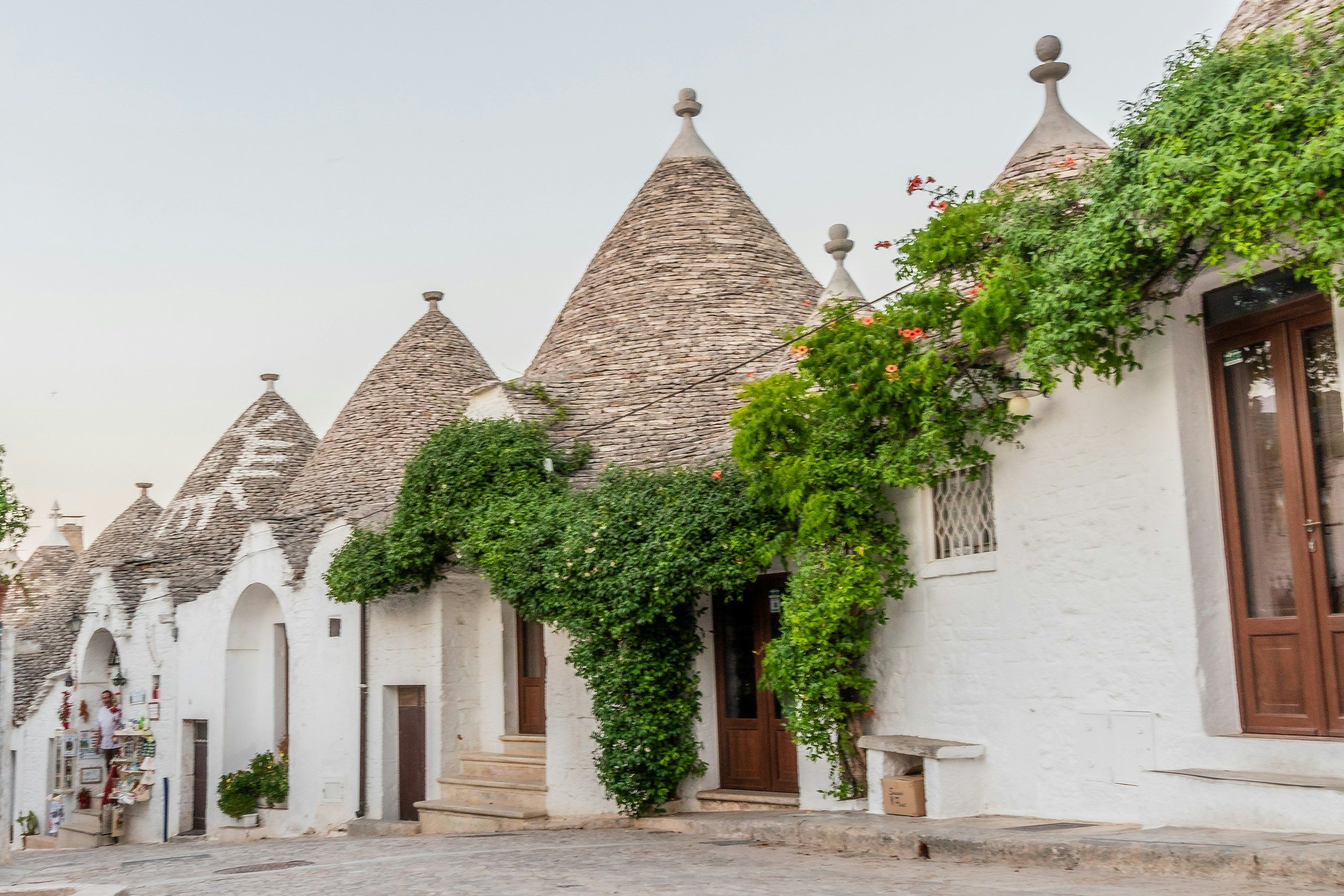 The trulli of Alberobello, inland Puglia, with white façades and climbing vines.